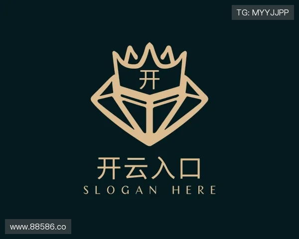 发掘开云入口
